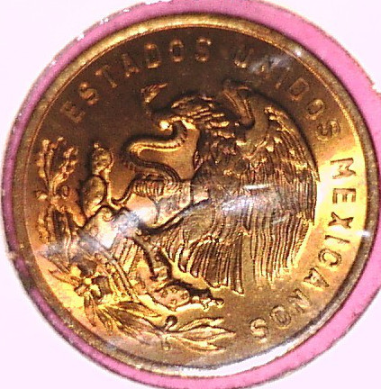 Post-What-You-Feel-Are-Some-Of-The-Most-Beautiful-Coin-Designs