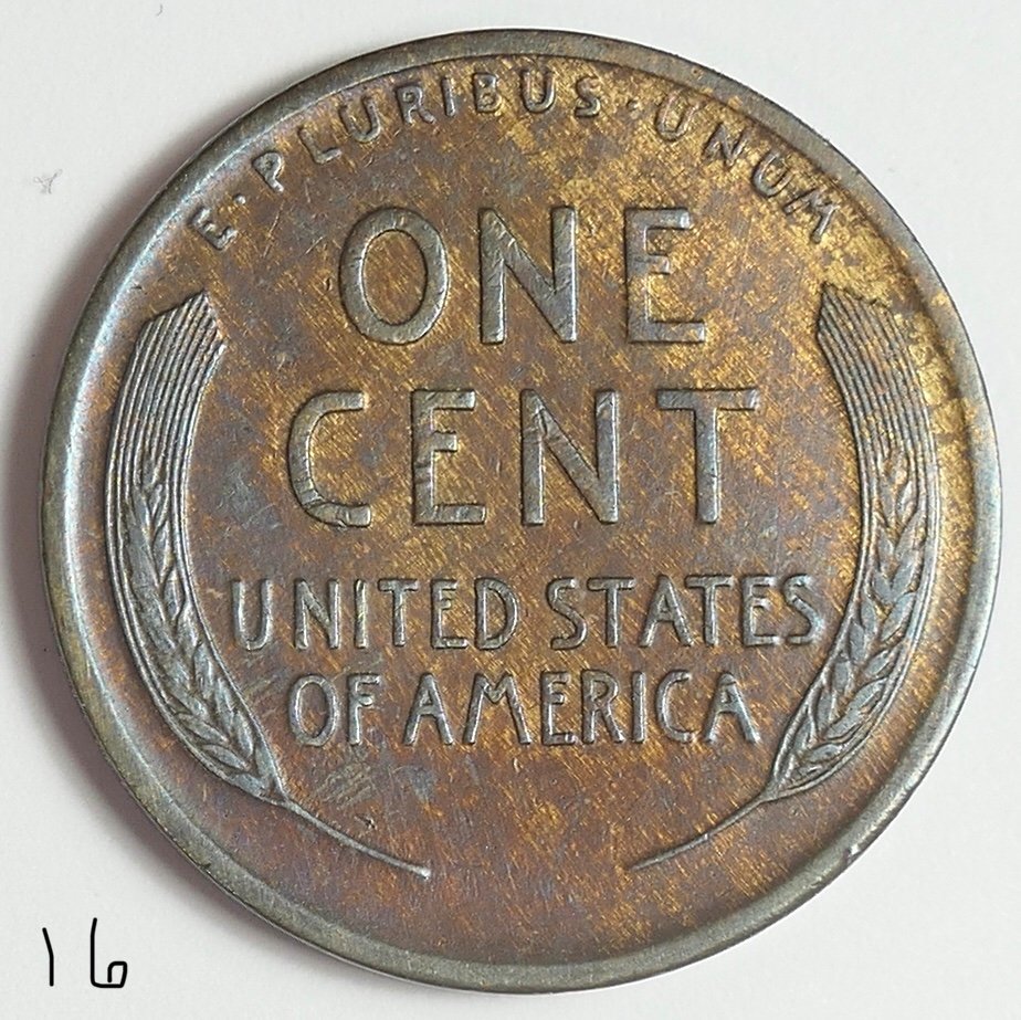 1916-P-LWC-For-Grading