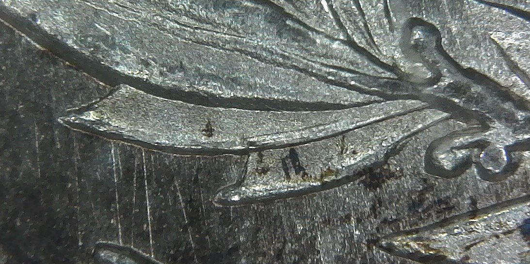 An-1881-S-Morgan-Dollar-Graded-MS-64-By-ANACS.-I-Think-It's-A-VAM-70?