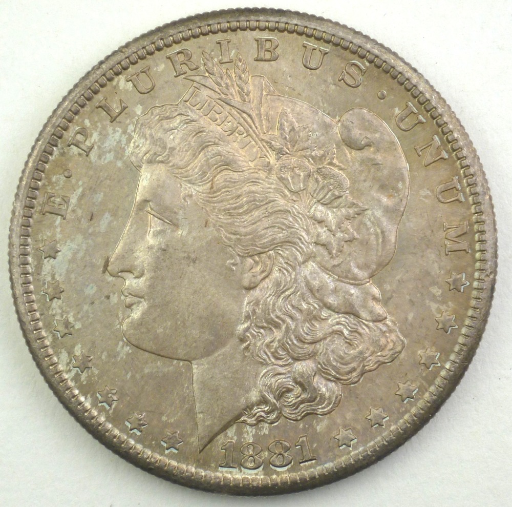 Toned-1881-S-Morgan-Dollar-For-Grading-And-Opinions