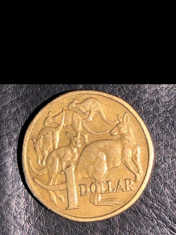 Australian-1984-Possible-Cud-Error