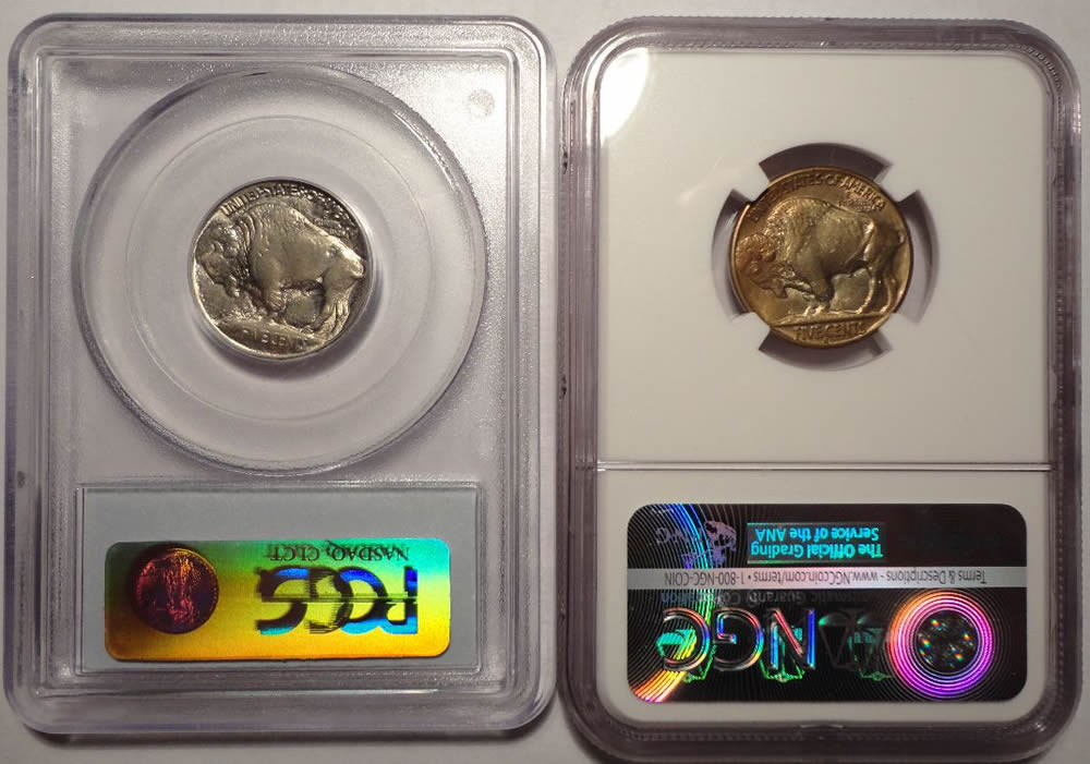 My-Buffalo-Collection-Working