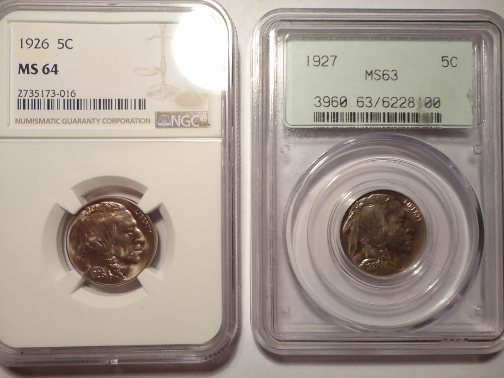 My-Buffalo-Collection-Working
