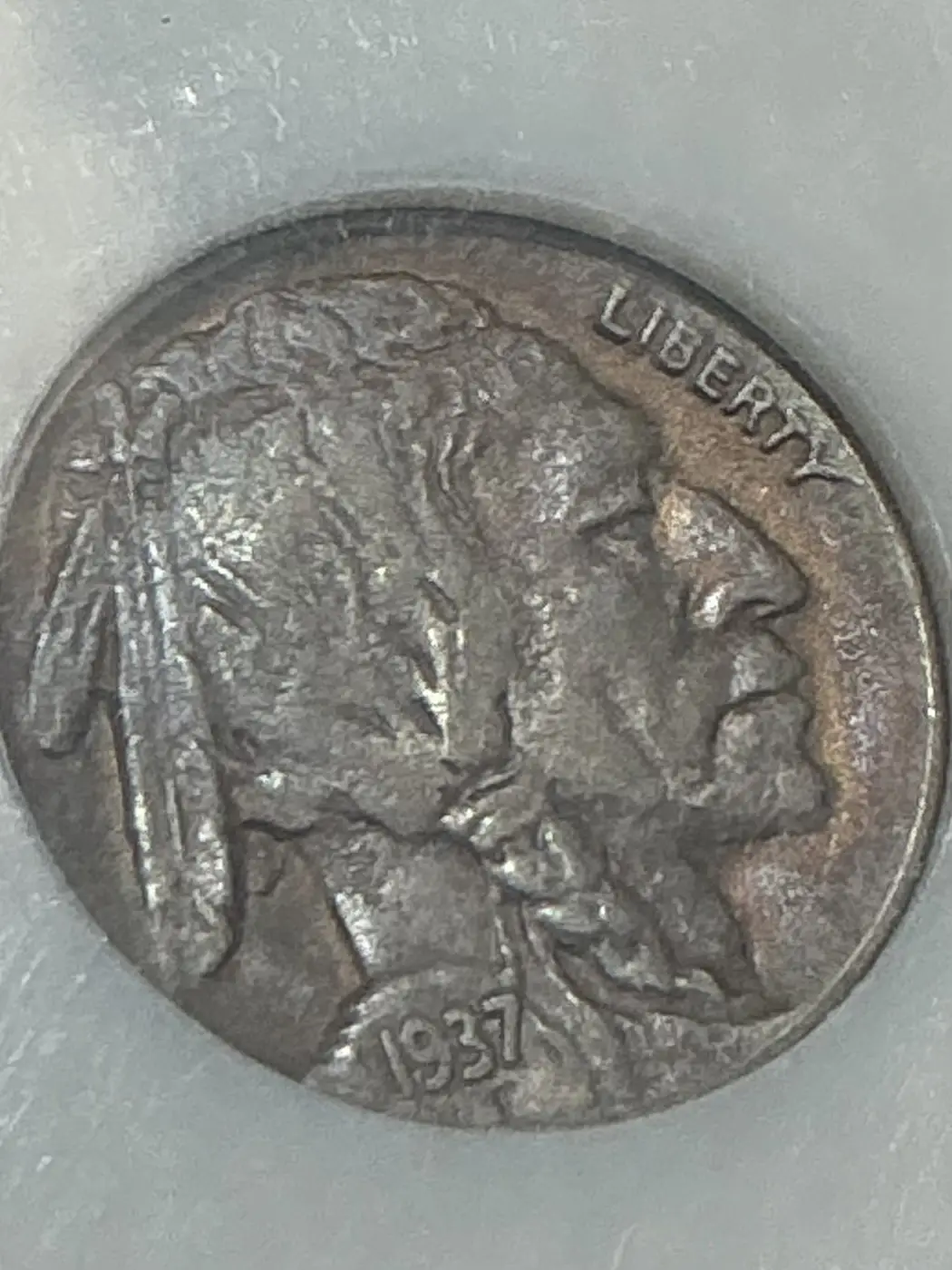 Opinions-On-This-37d,-3-Leg-Buffalo