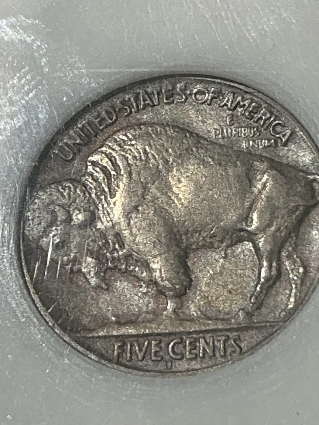 Opinions-On-This-37d,-3-Leg-Buffalo