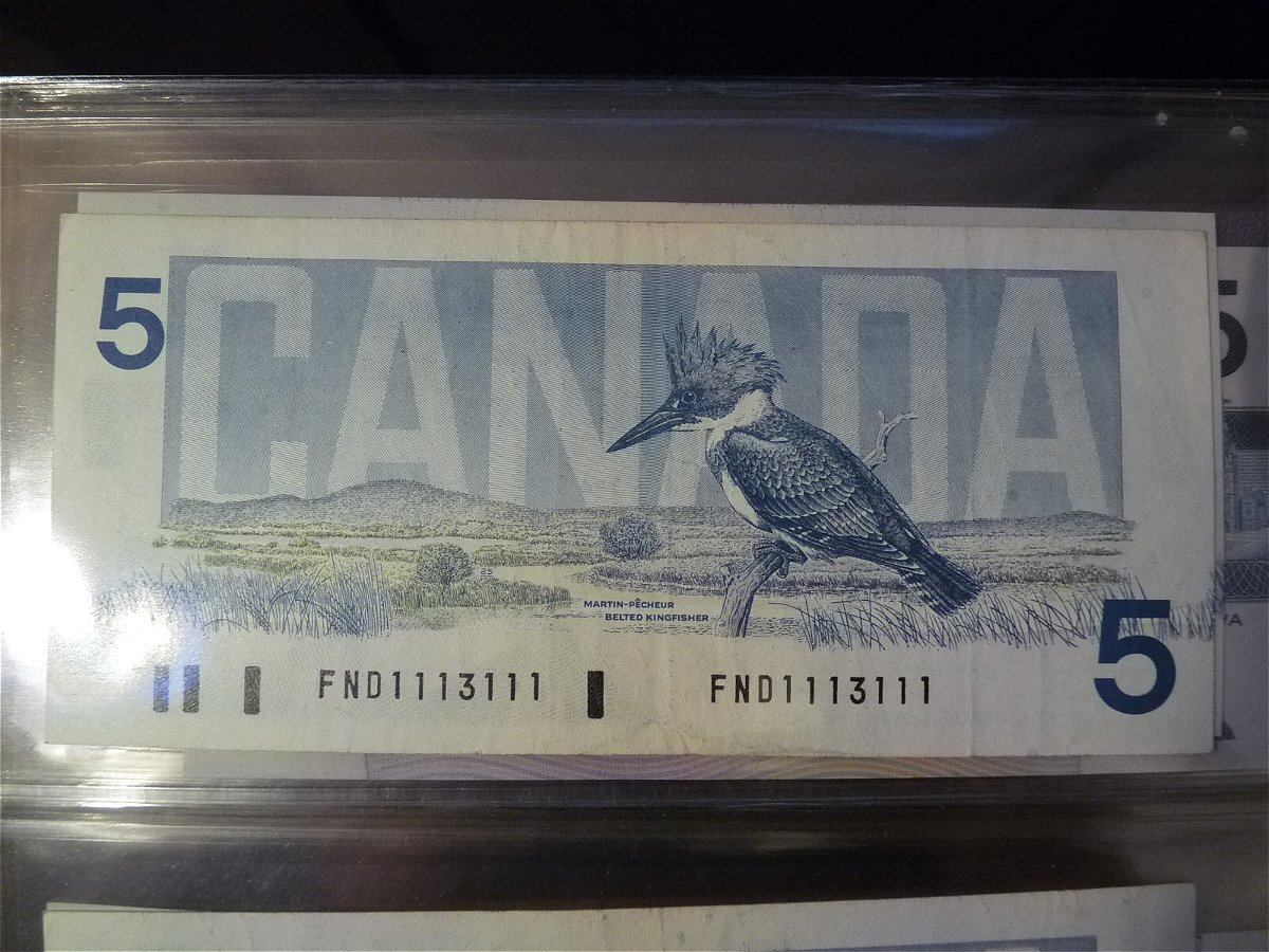 Keeper-CDN-Notes-Purchased