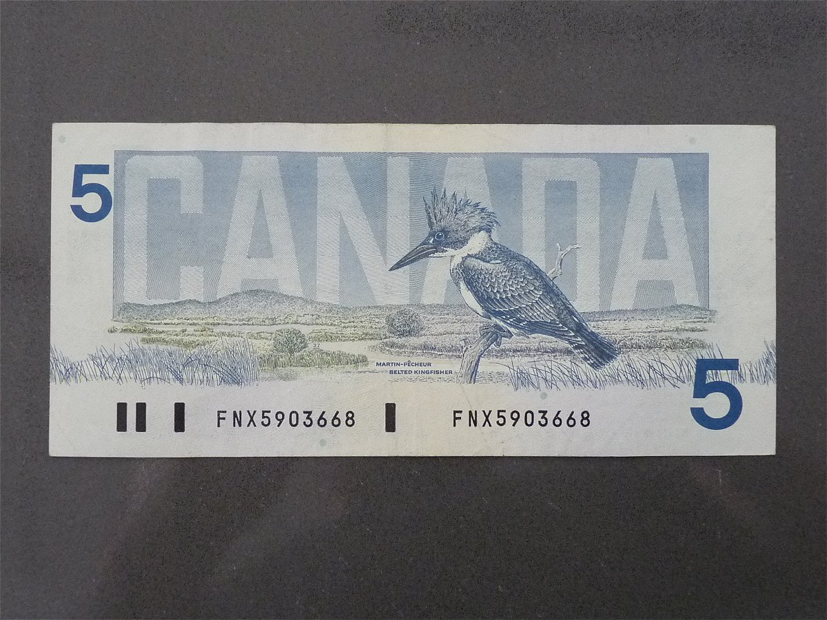 Post-Your-
