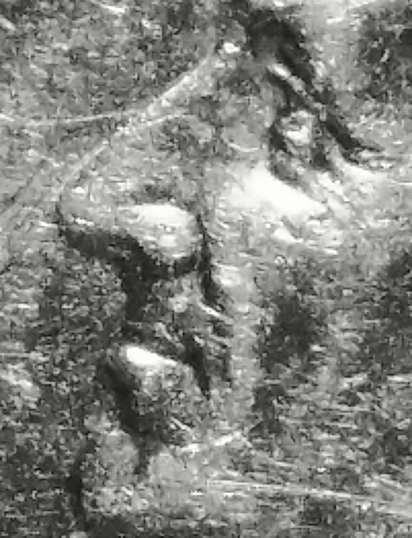 2003-D-Roosevelt-Dime-Weird-Marks-By-Nostril-And-The-Chin
