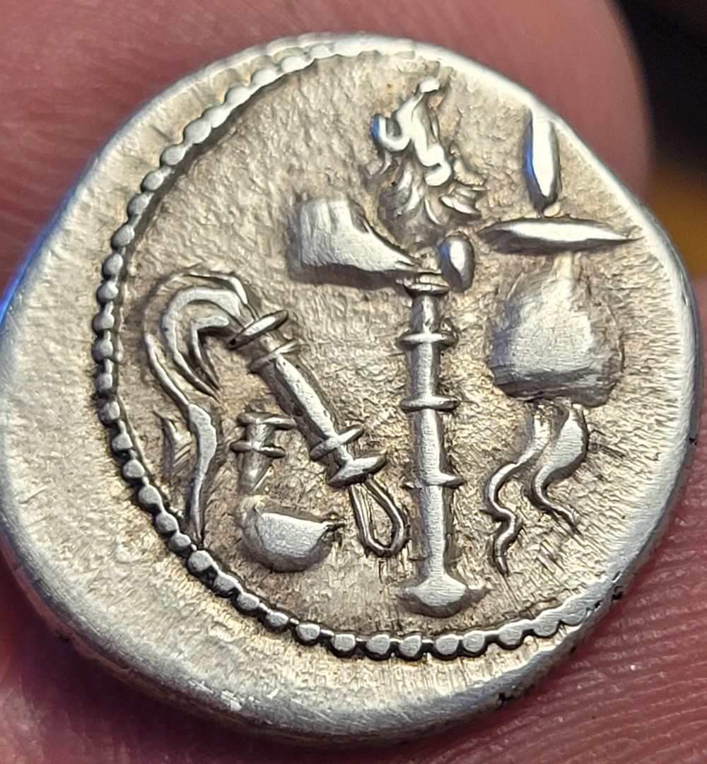 Julius-Caesar-Elephant-49Bc