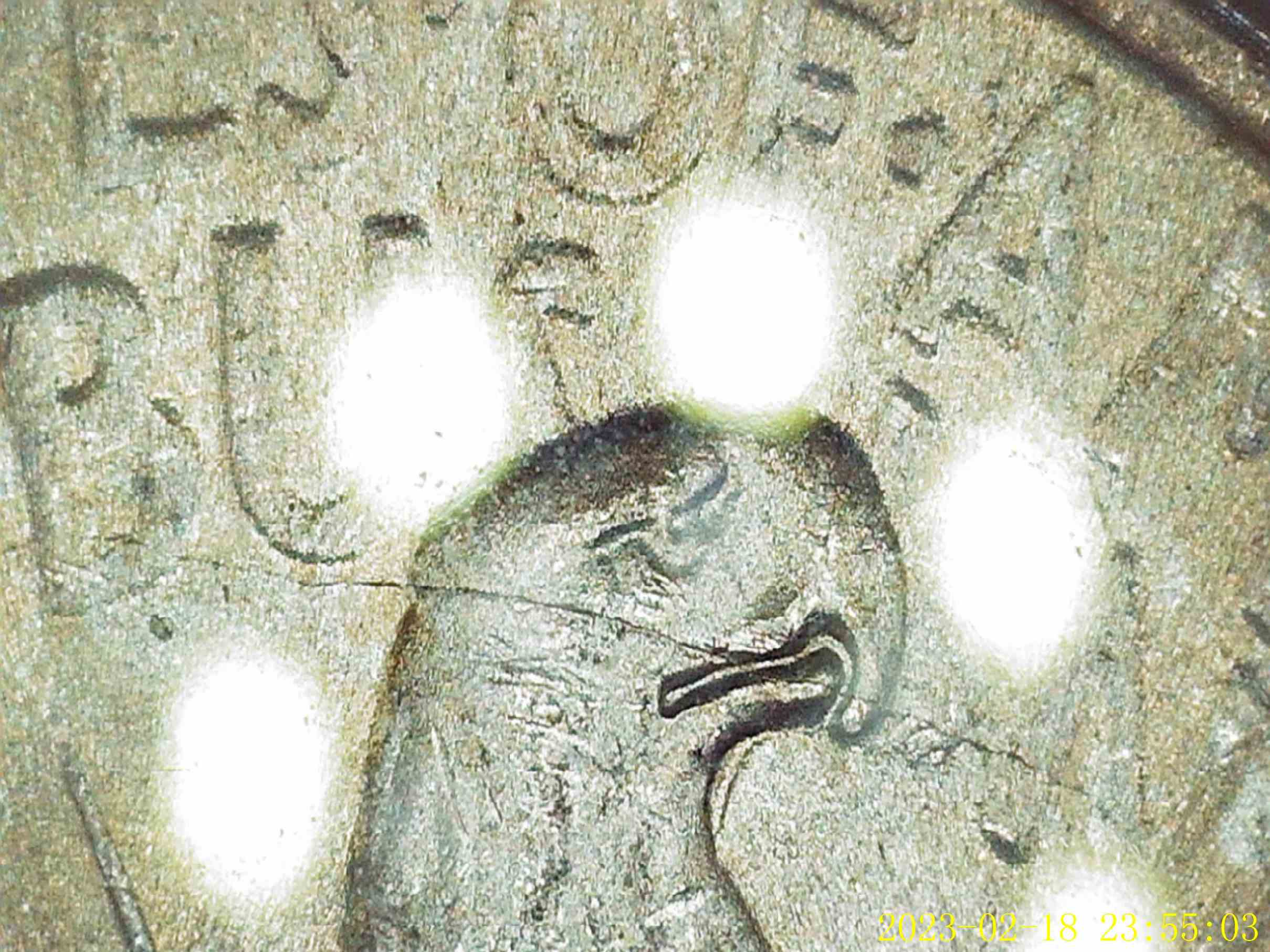 1922-Peace-Dollar---Unrecognized-Dye-Scratch?