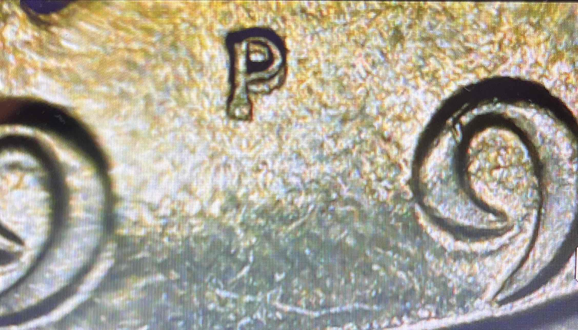 1991-Kennedy-Half-Dollar-P-Doubling?