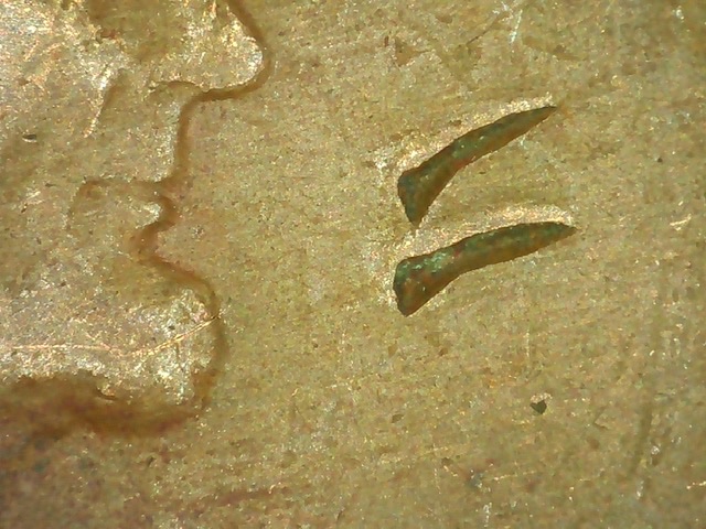 1941-Lincoln-Cent---Rim-Burr?
