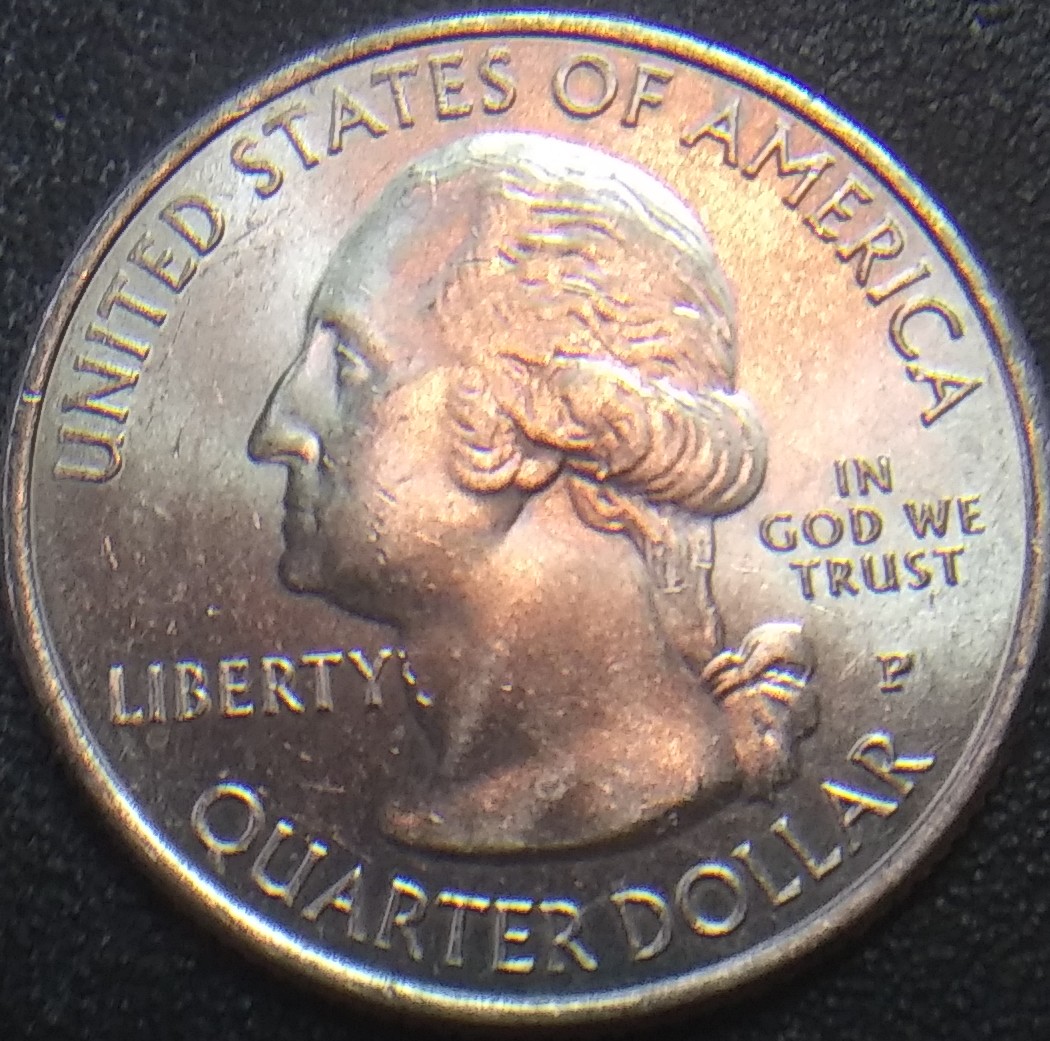 Scared-Me!-My-2015-Louisiana-Turkey-Quarter