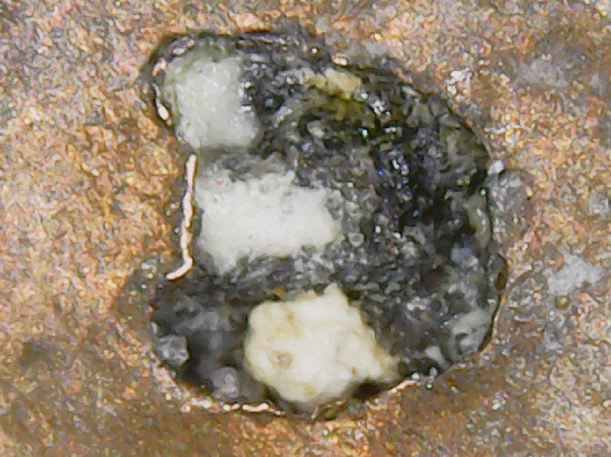 1982-?--LMC-W/-A-Hole-Where-The-M.m.-Should-Be.-Did-Zinc-Rot-Do-This?