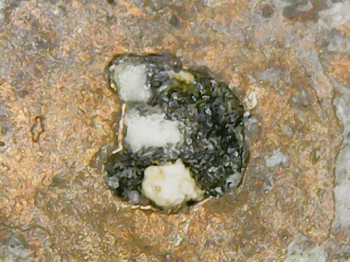 1982-?--LMC-W/-A-Hole-Where-The-M.m.-Should-Be.-Did-Zinc-Rot-Do-This?
