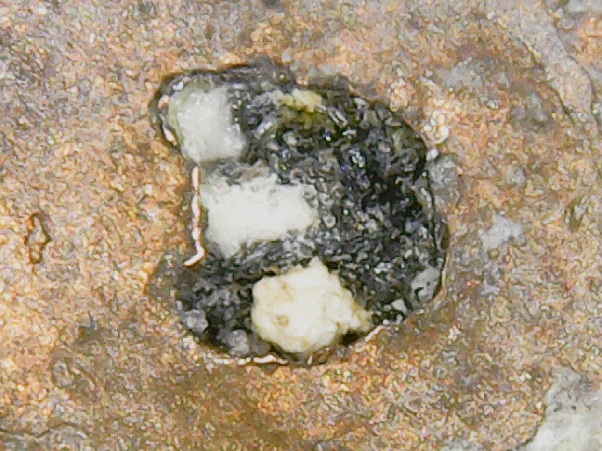 1982-?--LMC-W/-A-Hole-Where-The-M.m.-Should-Be.-Did-Zinc-Rot-Do-This?
