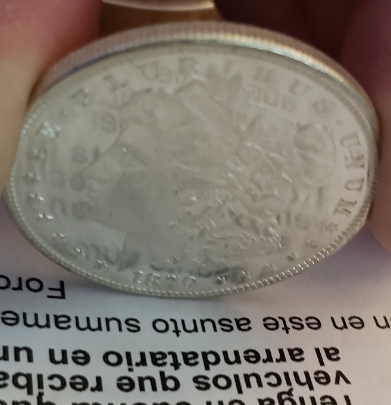1879-S-Morgan,-Please-Grade