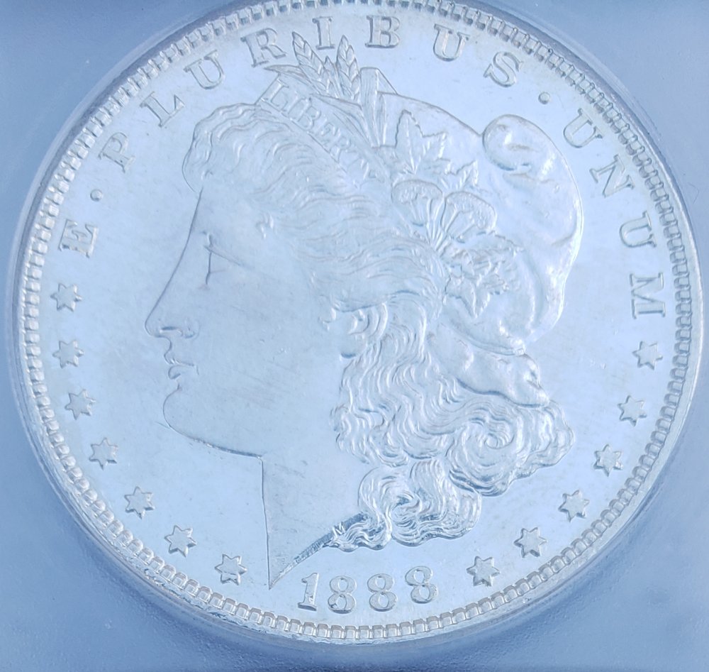 Guess-The-Grade-:-1888-S-Morgan