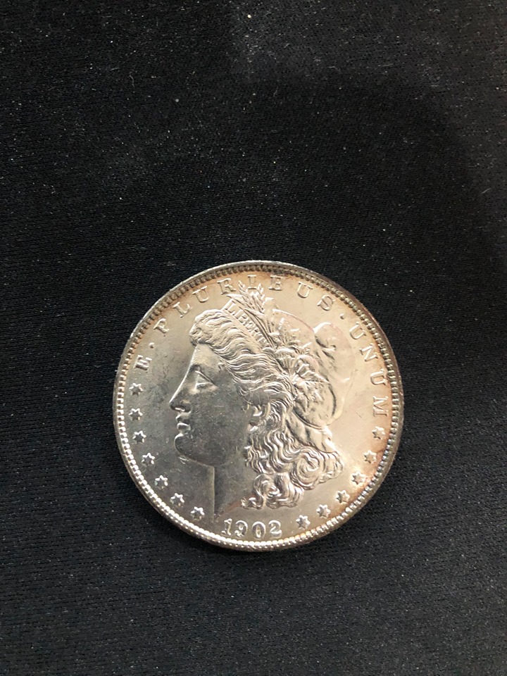 1902-O-Morgan-Dollar-For-Grading