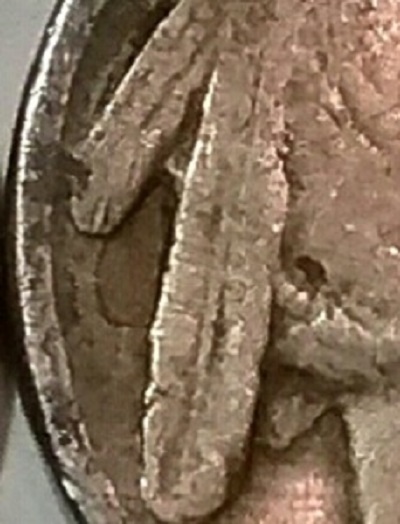 1921-4-Feathers-Buffalo-Nickel?