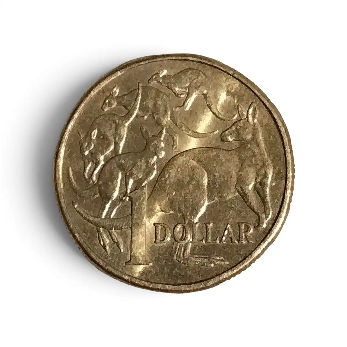 2024-$1-Backpack-/-Spew-Roo-And-Charles-Worts