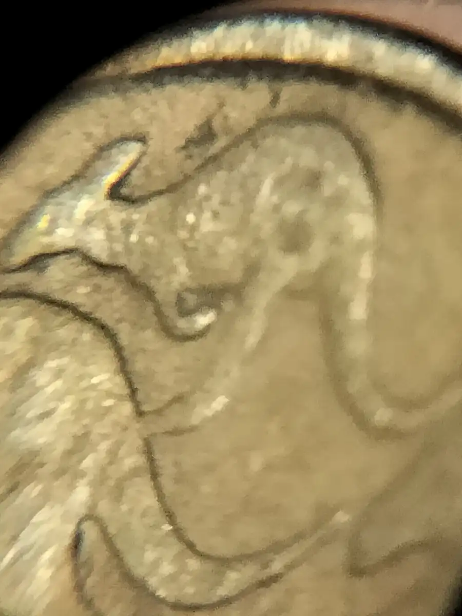 1985-$1-Coin-Die-Fill-Error