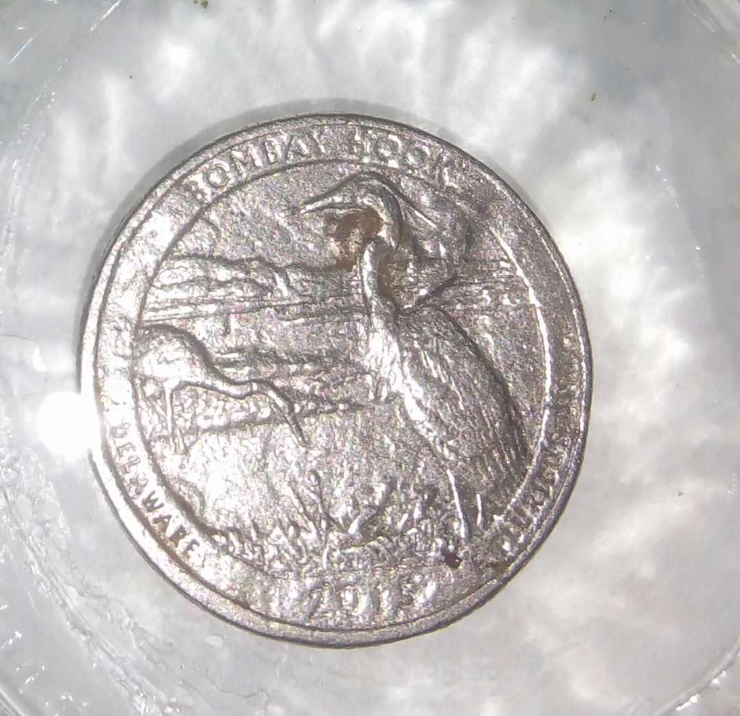 New-States-Quarter-Mint-Error....?