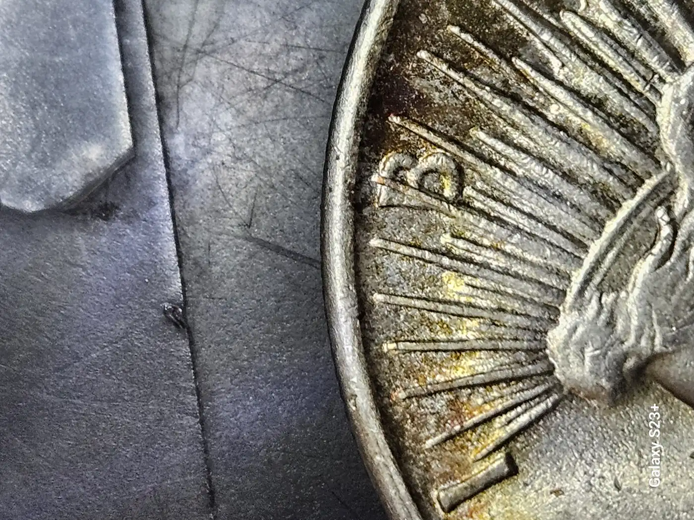 1925-P-Peace-With--Speared-Eagle-And-Die-Cracks-On-Reverse--Obverse-Has-Errors-Too.