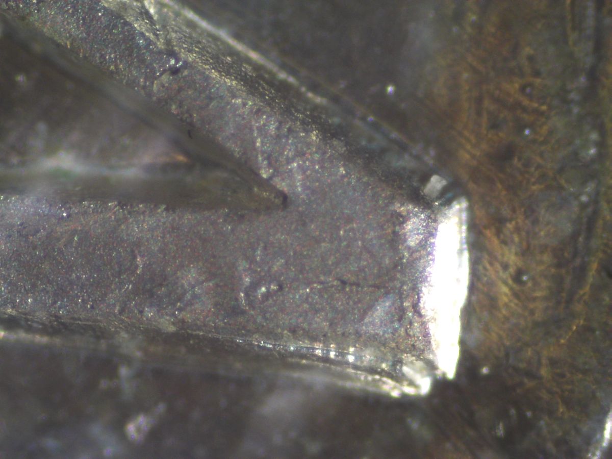 New-Microscope---1948-50-Cent,-1947-Ml-Dollar-Hp