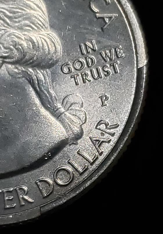 Gnarly-Rim-Cud-On-A-2018-Cumberland-Island-Quarter