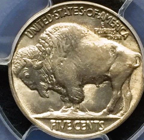 2-Coins,-Same-But-Different---Show-Yours
