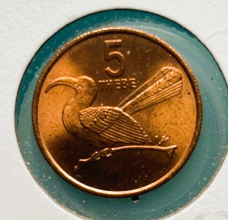 Bring-Out-Your-KM#4-Or-Y#4-Coins-For-Show-&-Tell