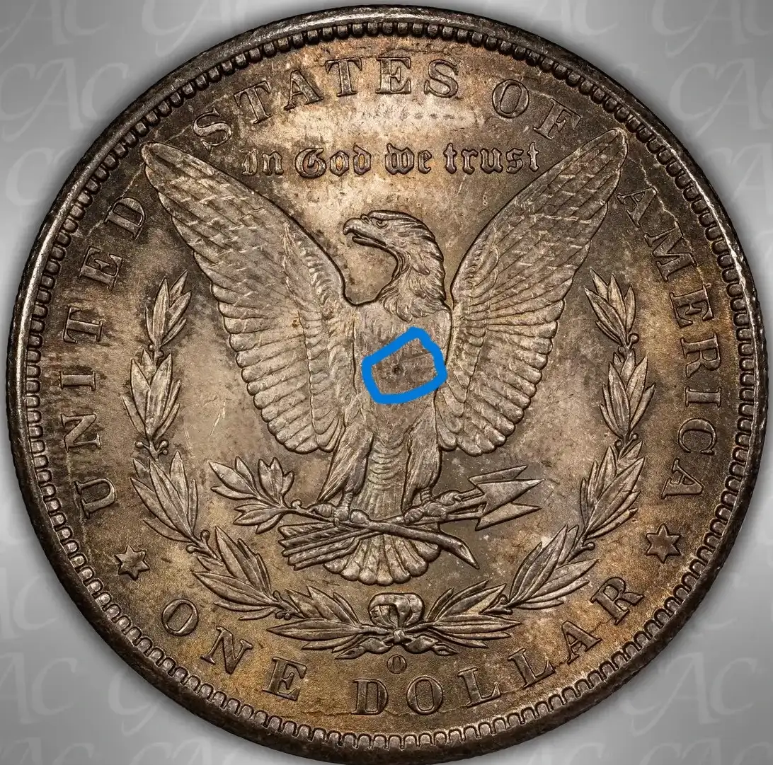 1899-O-$1:-You-Vs.-CACG