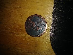 Does-Anyone-Know-What-This-Is