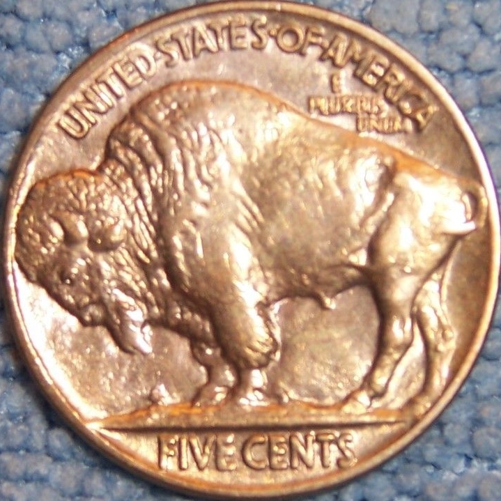 Buffalo-Nickels-1923