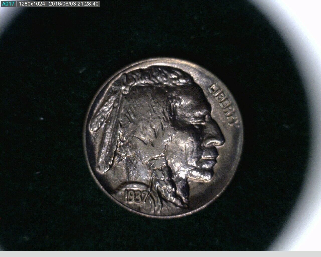 1937-Buffalo-Nickel