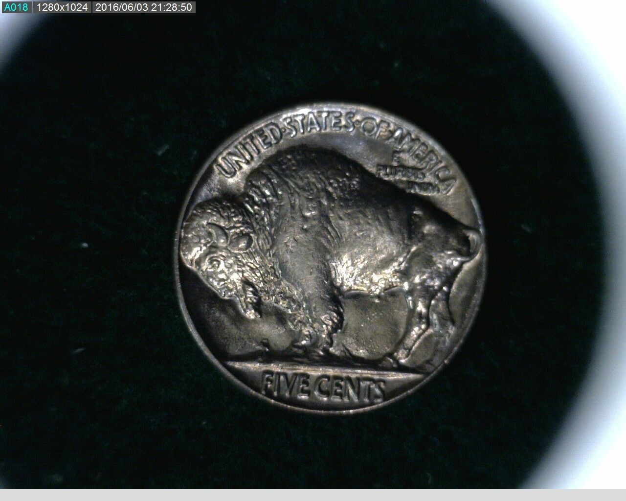 1937-Buffalo-Nickel