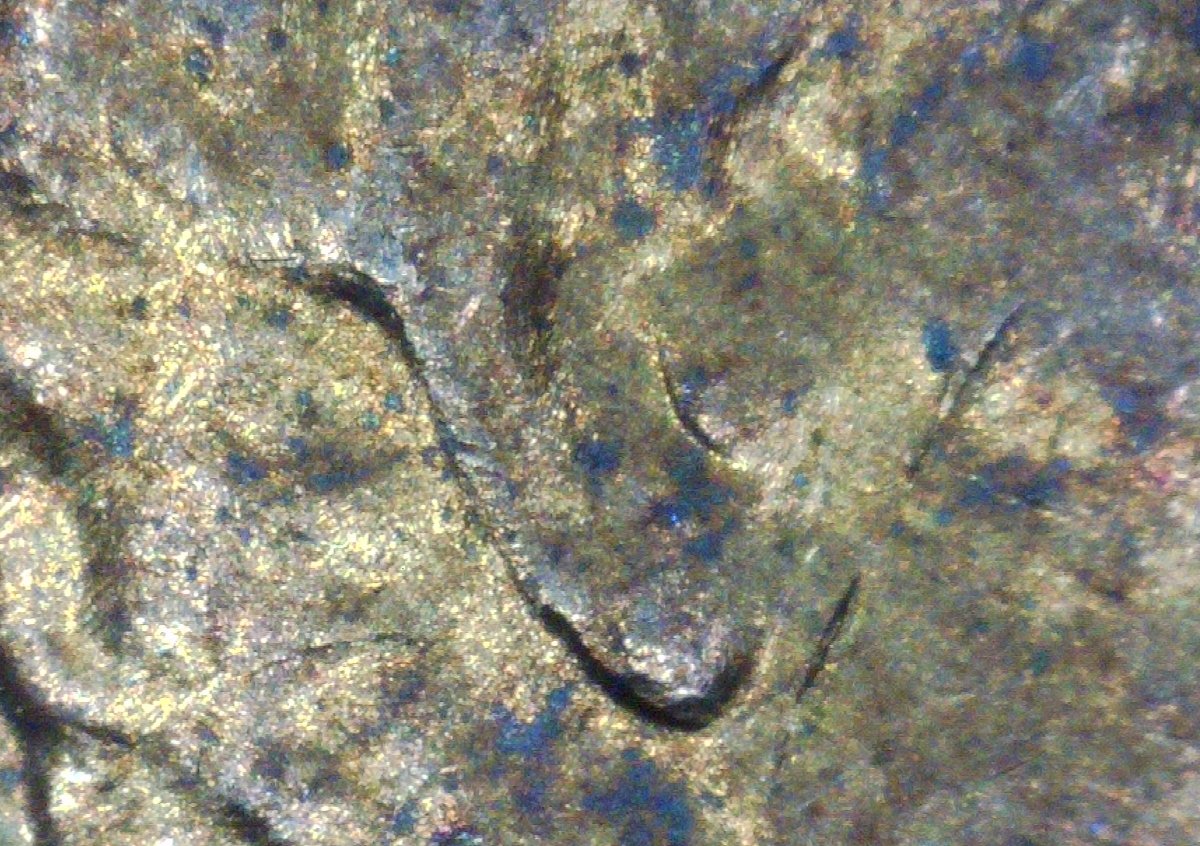 1982-D-Large-Date-Lincoln-Cent