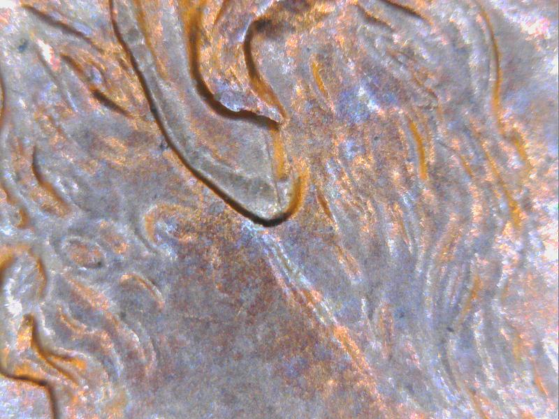1999-Penny---Could-This-Be-A-Partial-Earlobe?