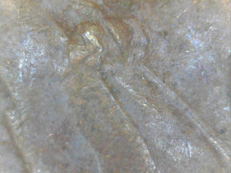 1980-Penny-I-Think-WDDO-001?