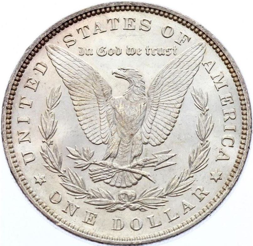 1881-Morgan-Dollar-For-Grading