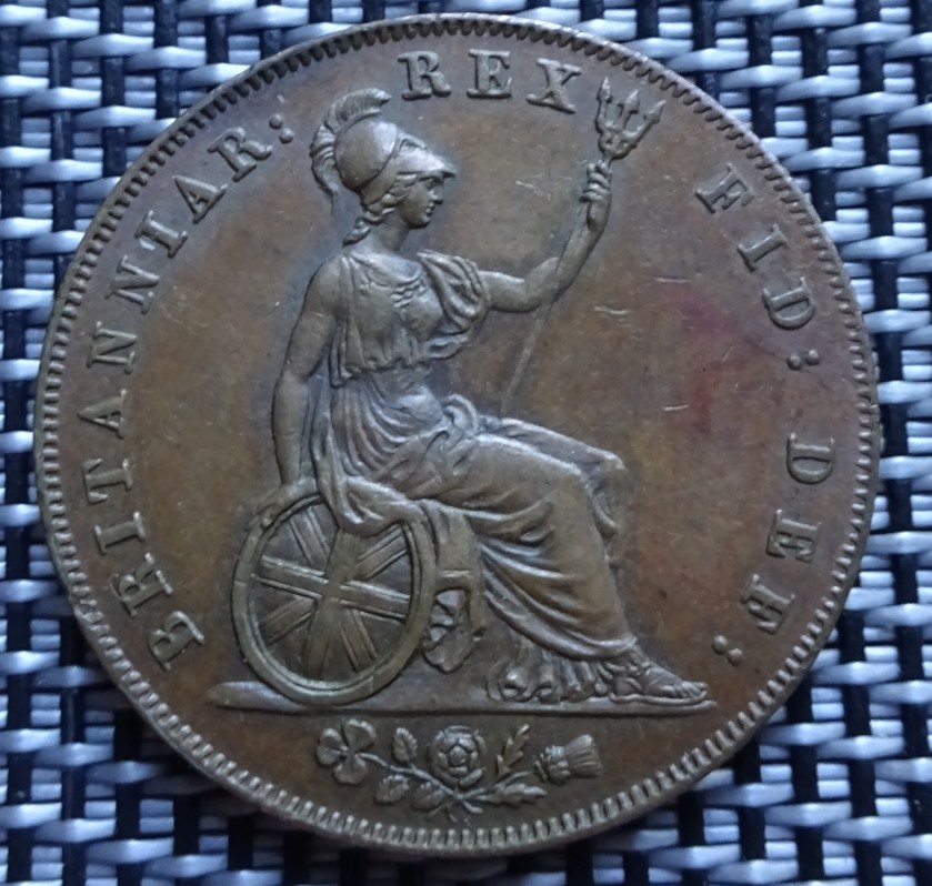 Copper-And-Bronze---New-Collection-Additions