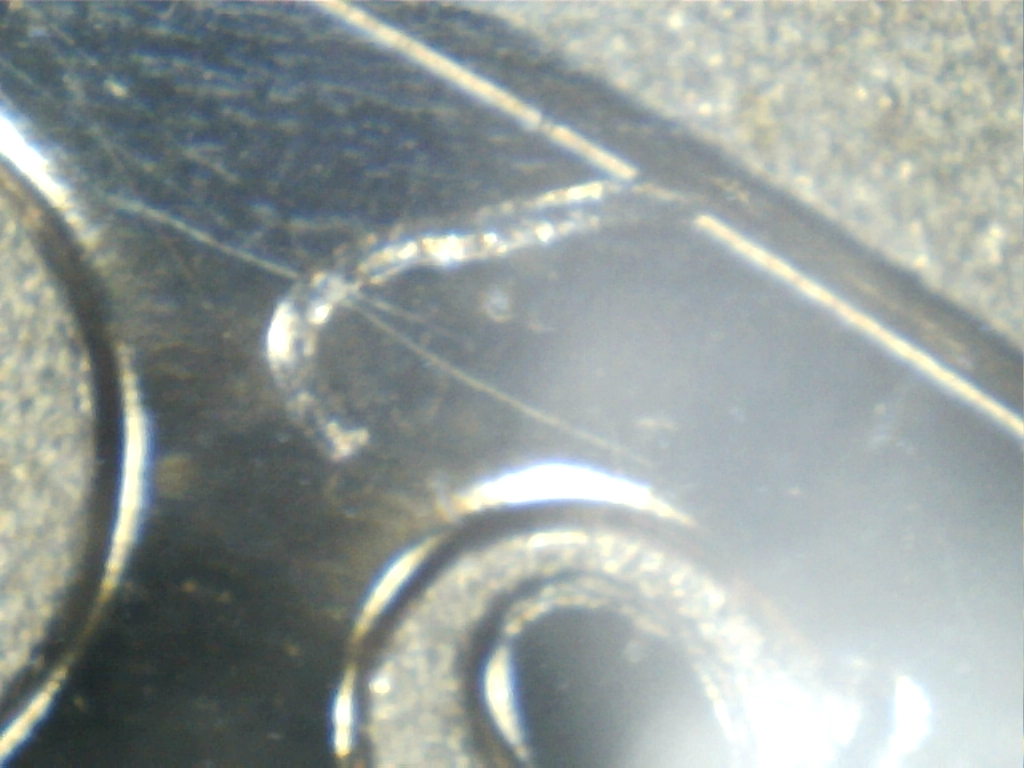 2014-Roosevelt-Proof-Error