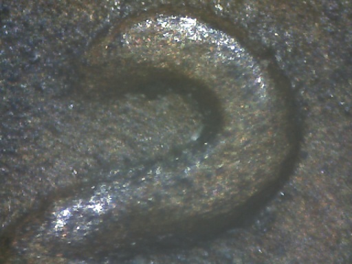 1932-D-Lincoln-Cent-Possible-DDO