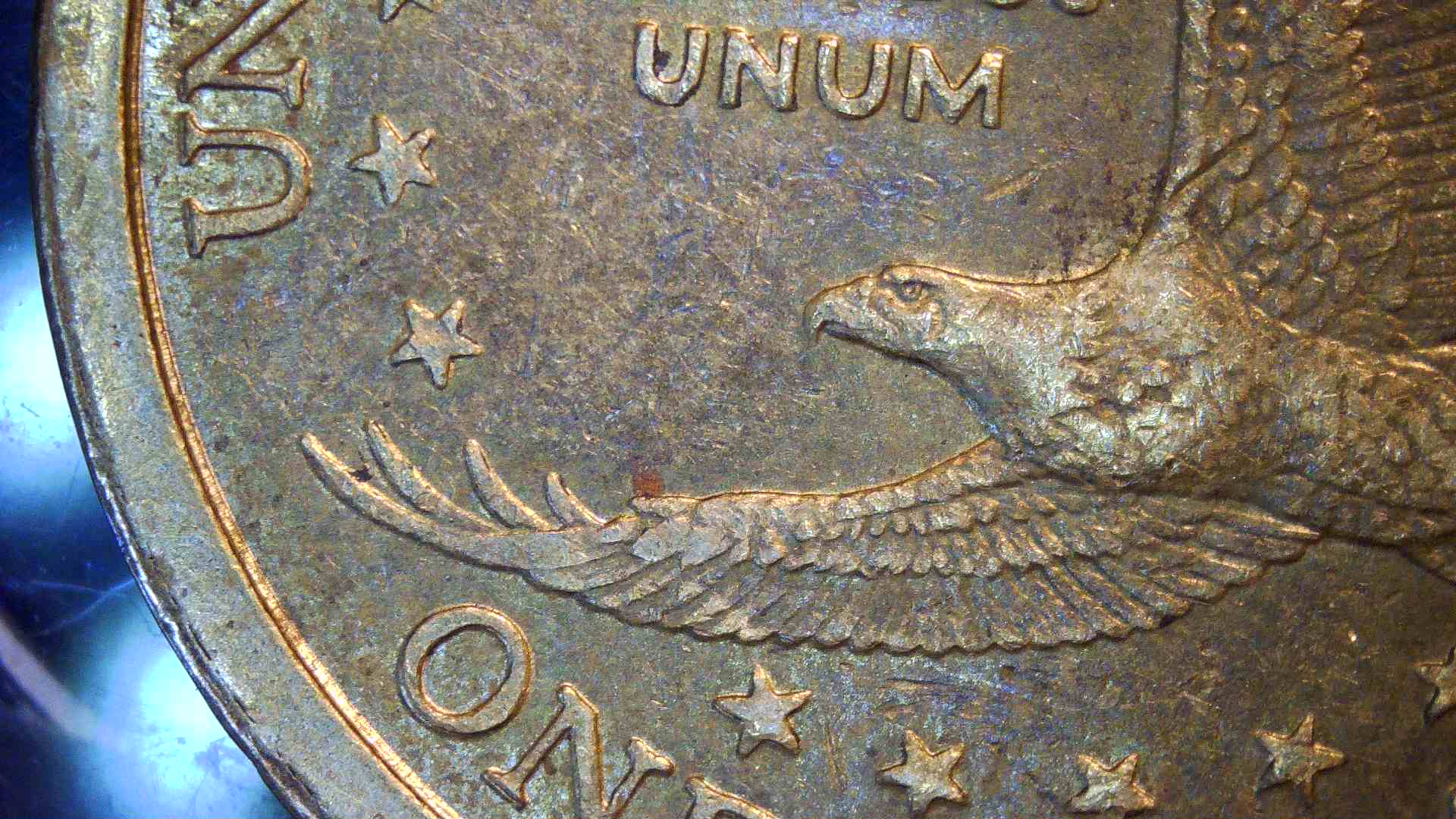 2000-D-Sacagawea/-Multi-Error?