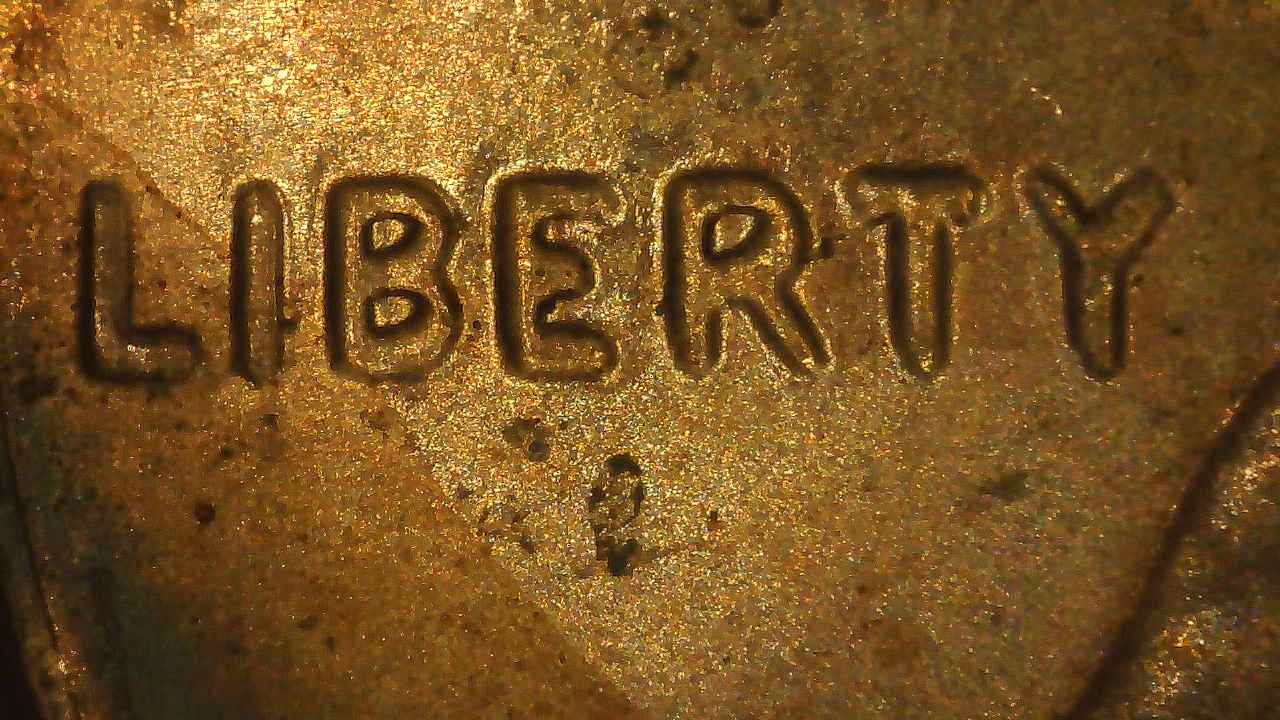 2019-P-Penny-DDO?-Opinion?