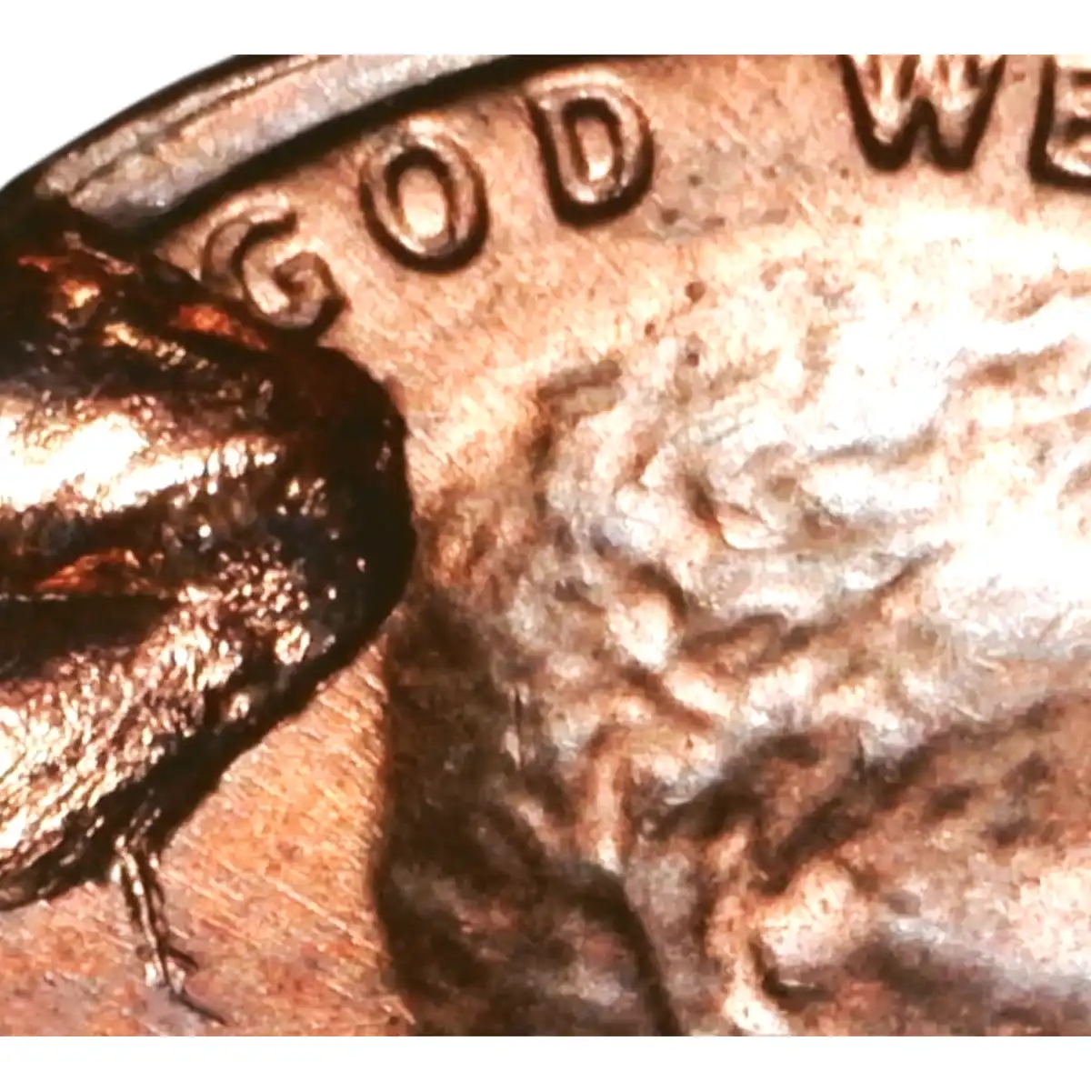 1975-D-Lincoln-Cent-�-Help-Identifying-Possible-Cud-Error