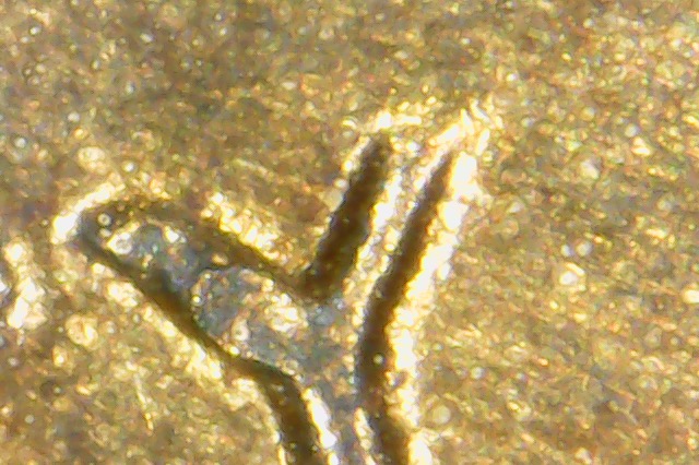 1969-S-DDO-Lincoln-Penny-New-Variety-Or-Stage?