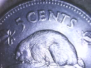 Elizabeth-II-5cent-Canadian-Coin
