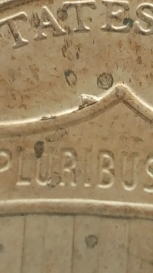 2017-P----Lincoln-Shield-With-A-Die-Chip?....is-This-One-A-Good-Find?